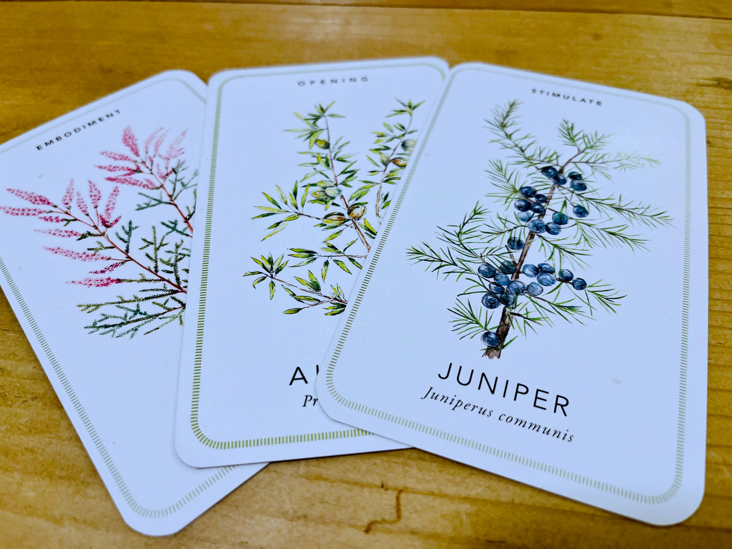 Portal to the Gemmo Forest - An Oracle Card Deck