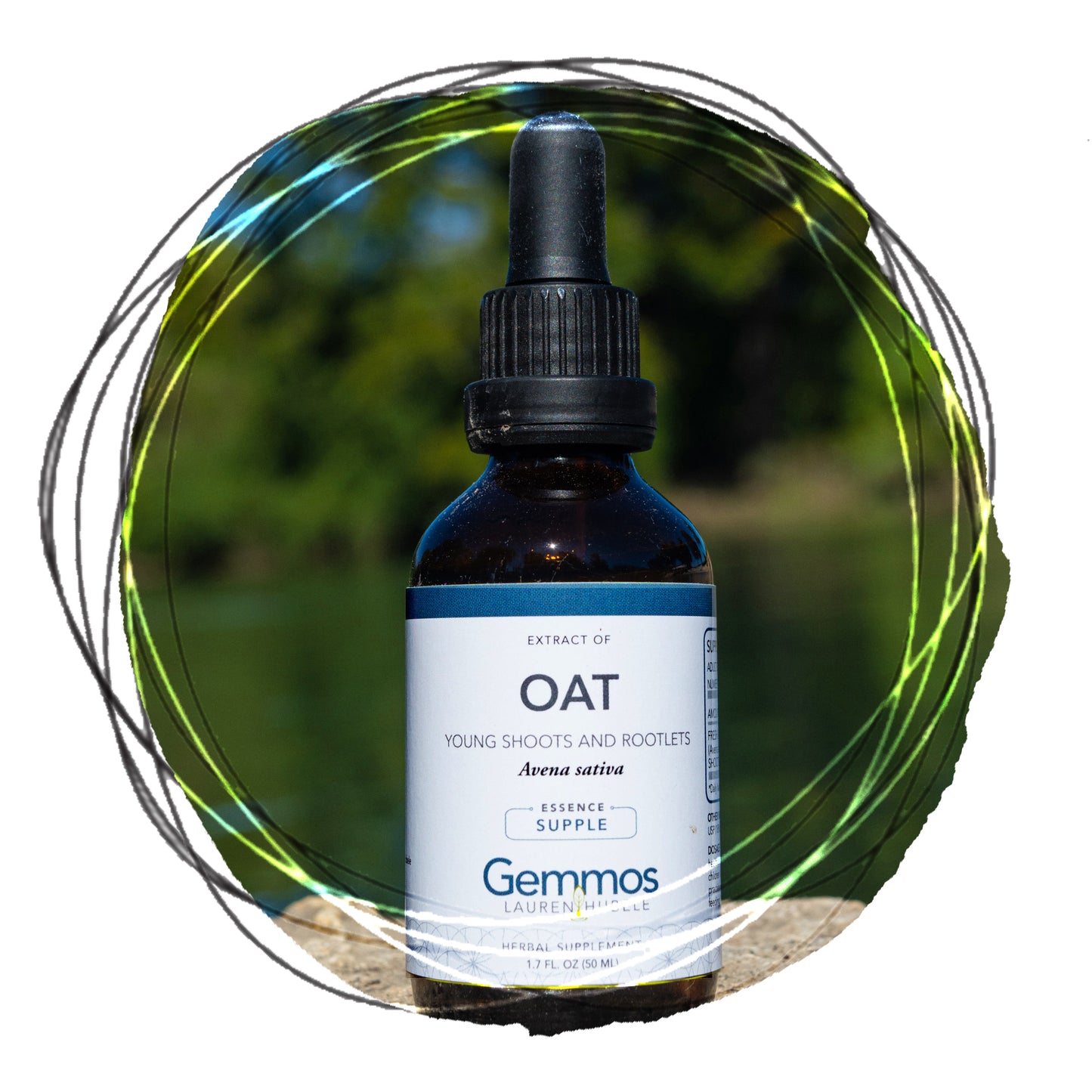 Wild Oats, Avena Sativa