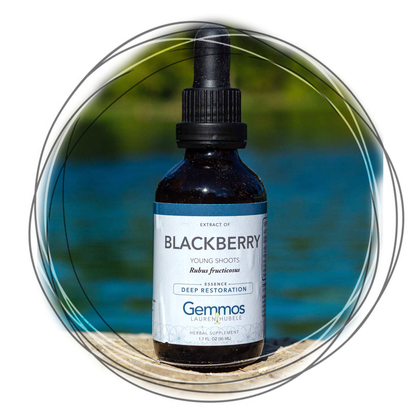 Blackberry, Rubus fructicosus