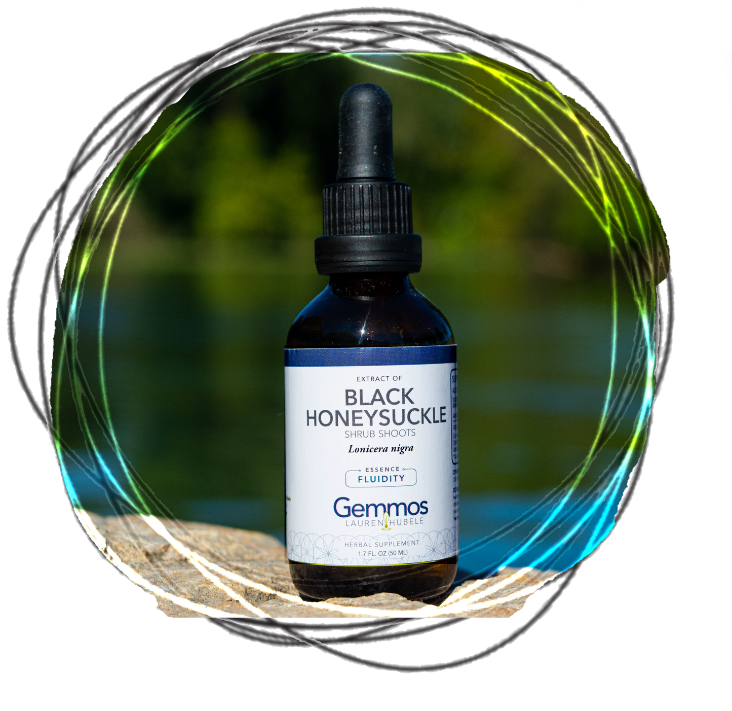 Black Honeysuckle, Lonicera nigra