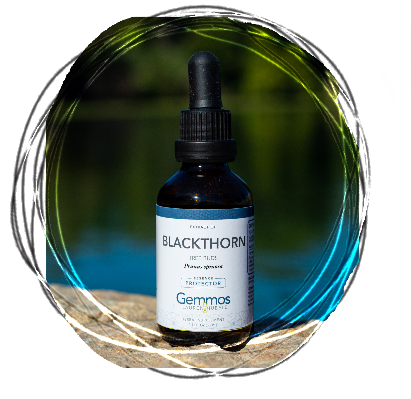 Blackthorn, Prunus spinosa