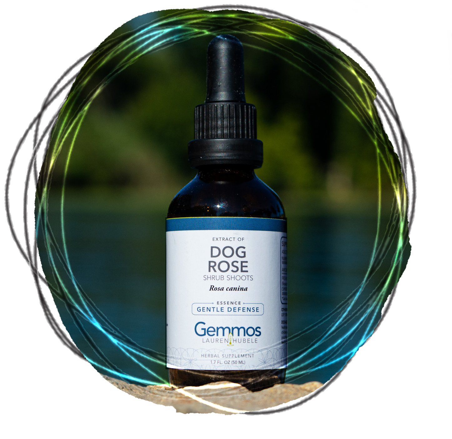 Dog Rose,  Rosa canina