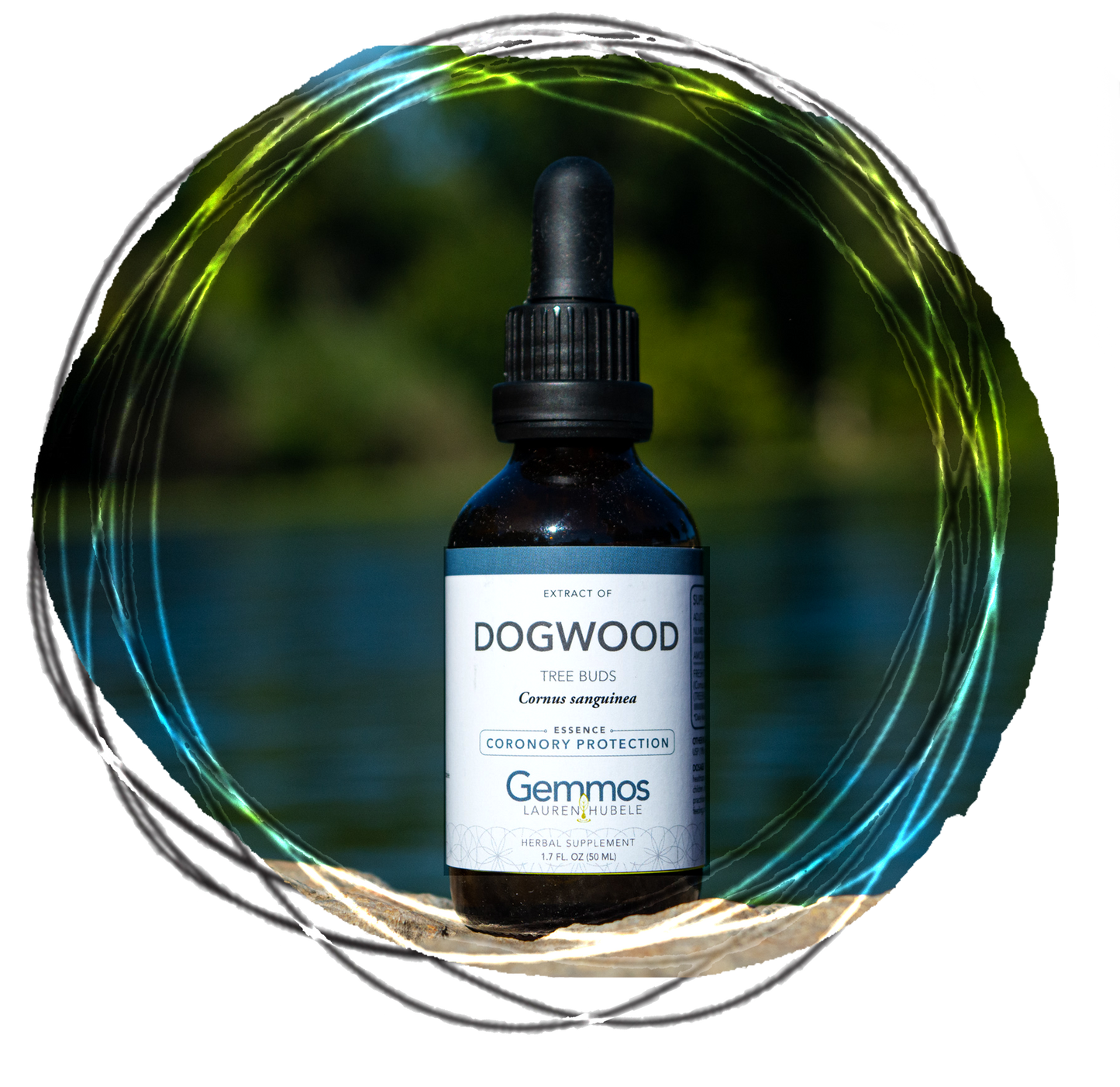 Dogwood,  Cornus sanguinea