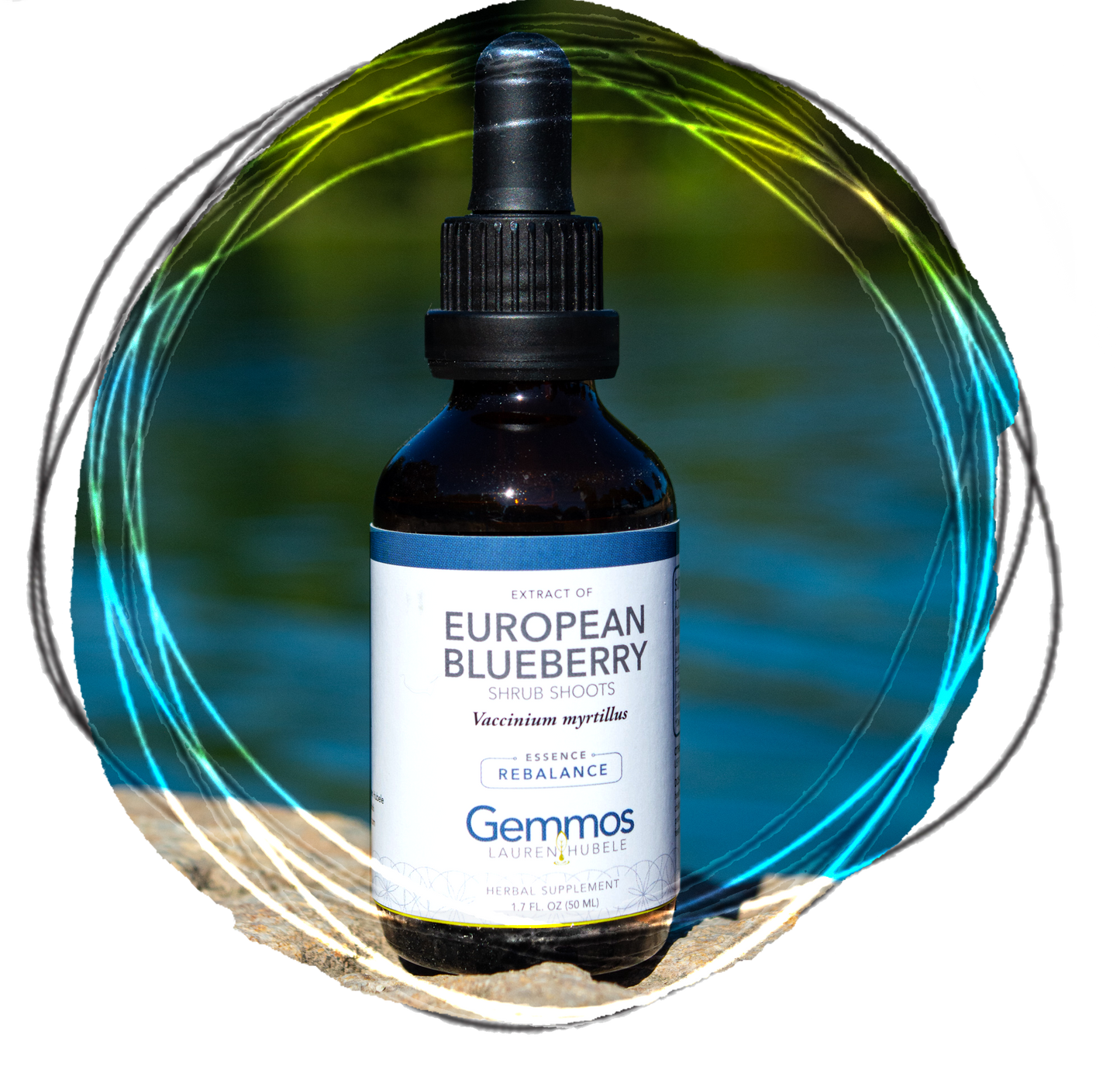 European Blueberry, Vaccinium myrtillus