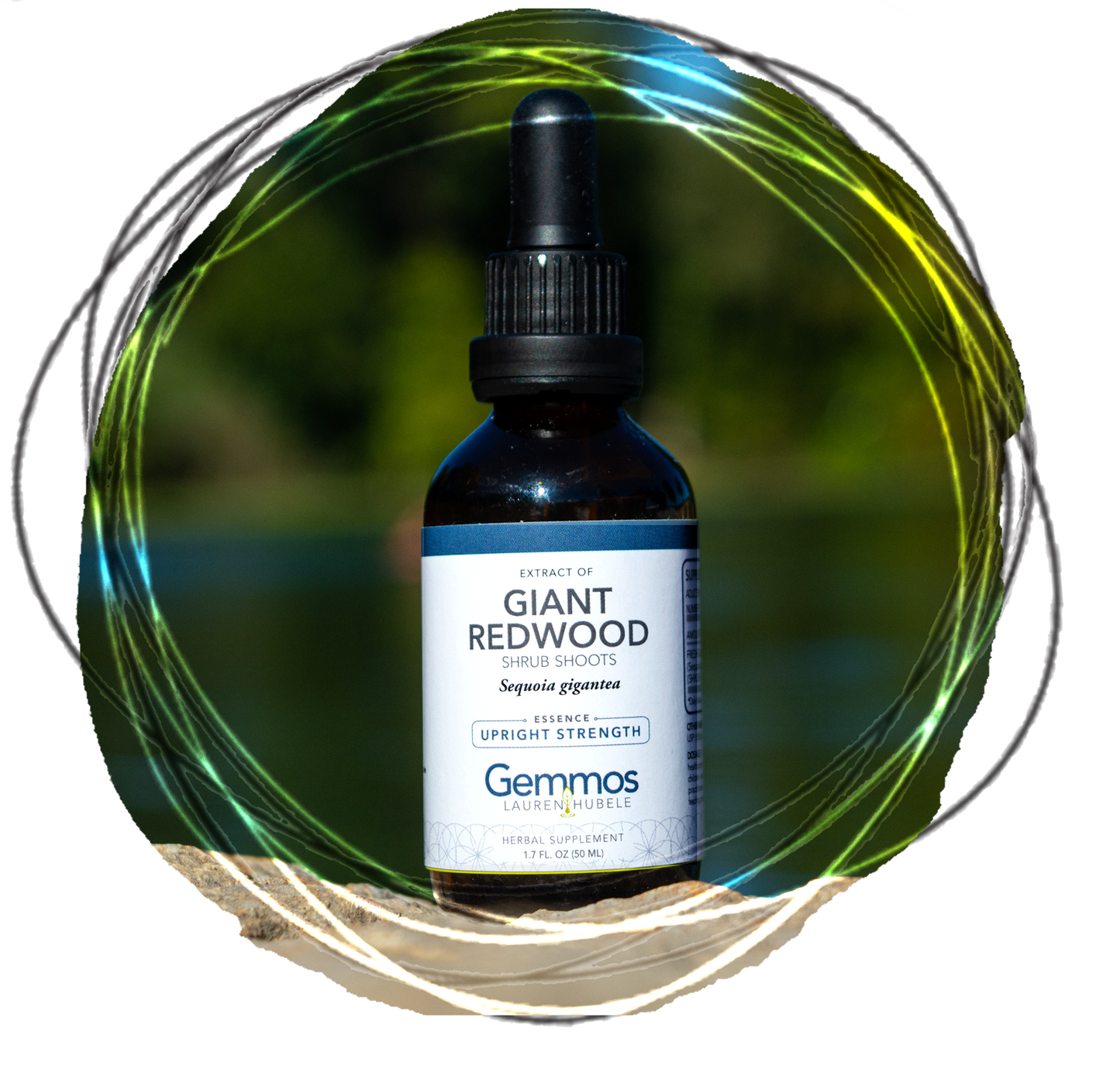 Giant Redwood, Sequoia gigantea