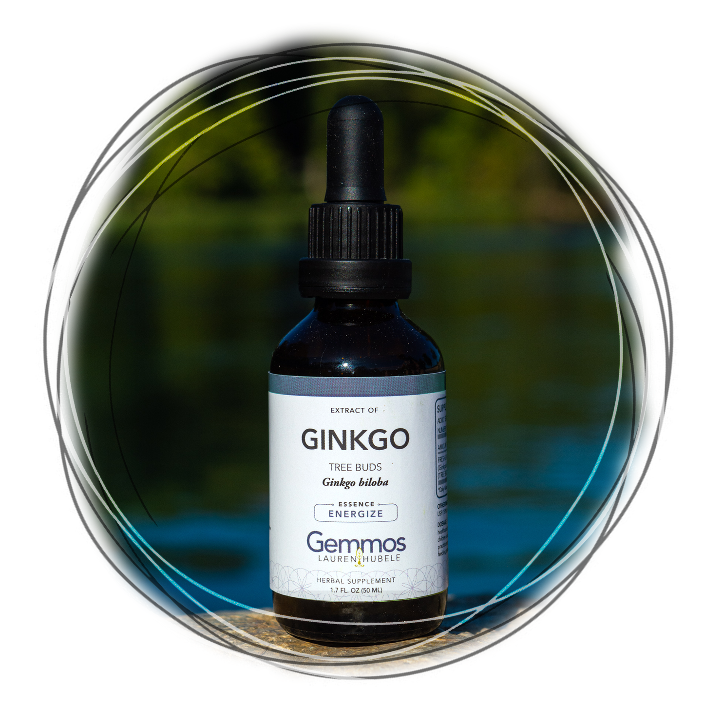 Ginkgo, Ginkgo biloba