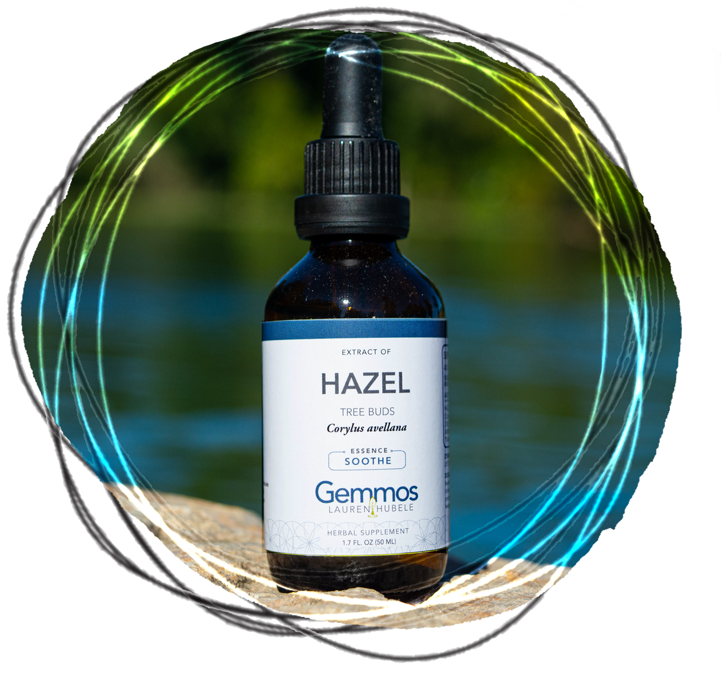 Hazel, Corylus avellana