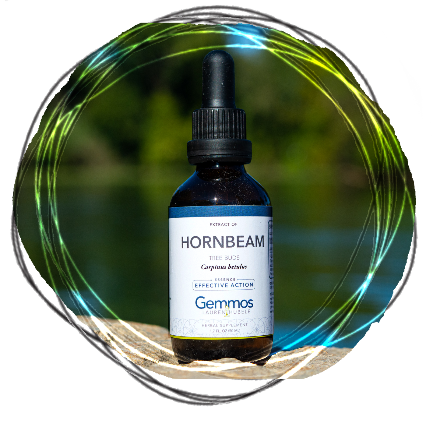 Hornbeam, Carpinus betulus