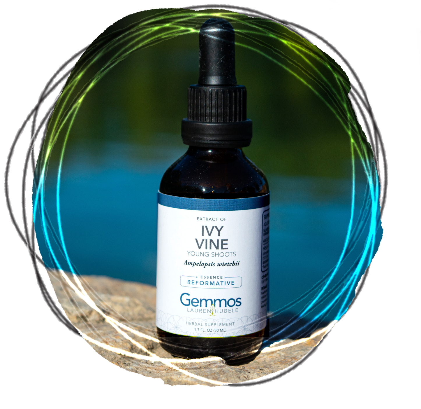 Ivy, Ampelopsis wietchii