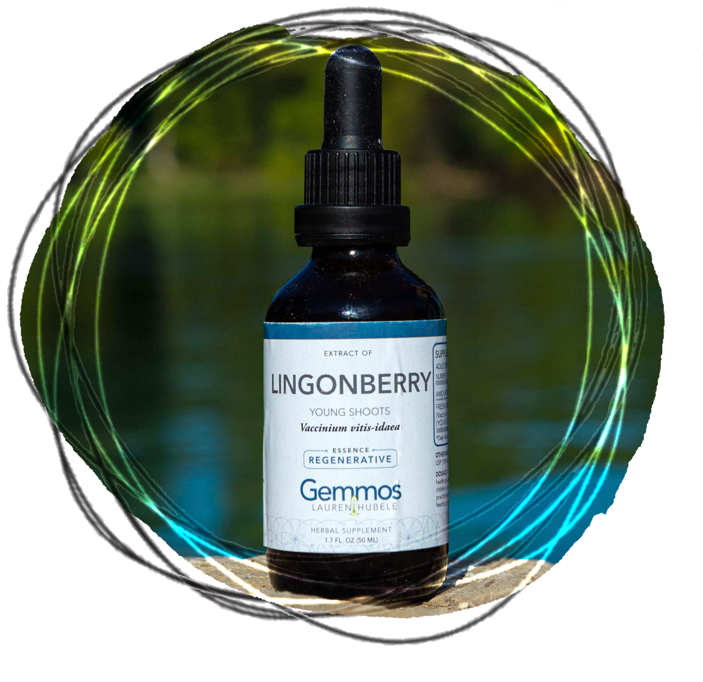 Lingonberry, Vaccinium vitis-idaea