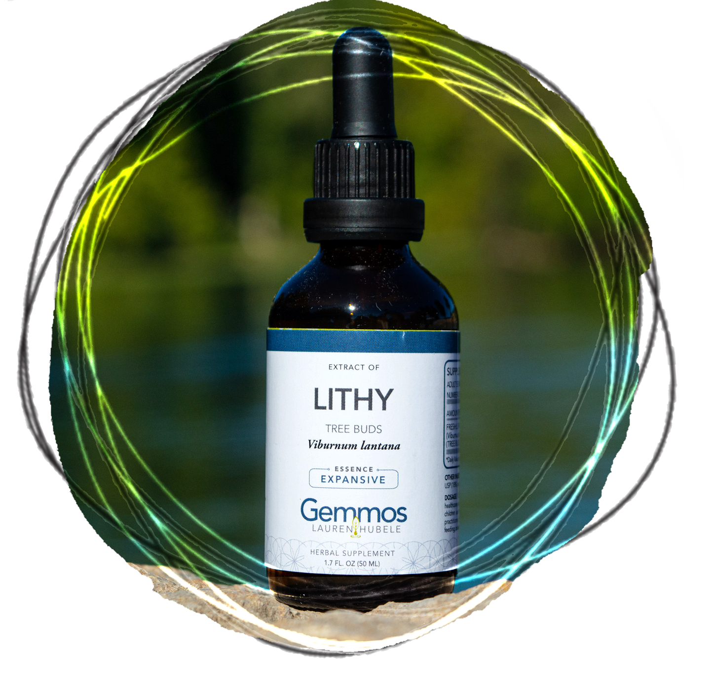 Lithy Tree, Viburnum lantana