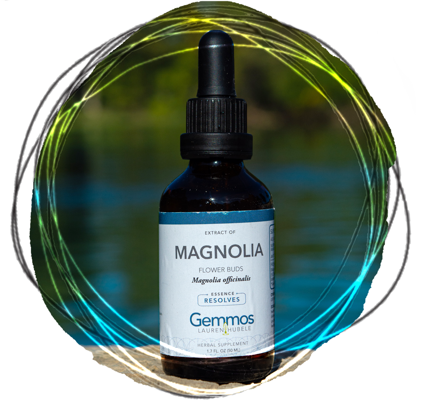 Magnolia, Magnolia grandiflora