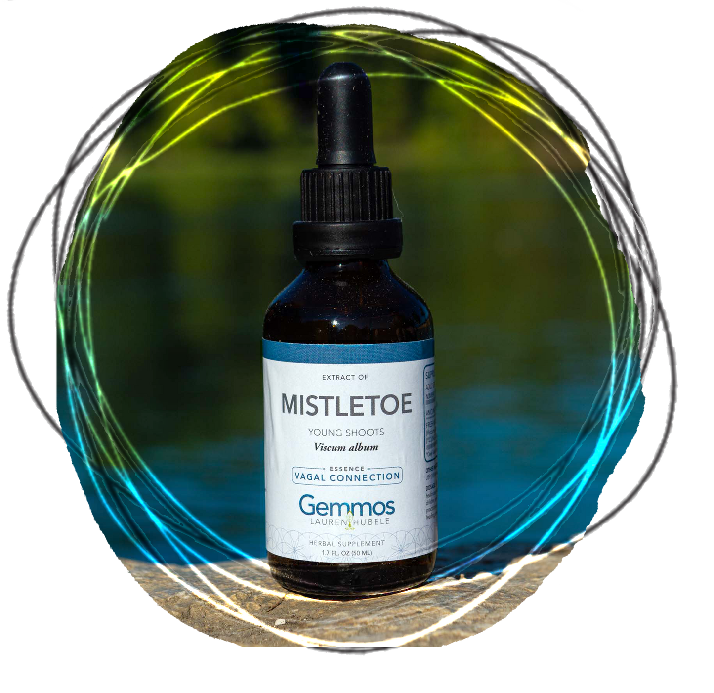 Mistletoe, Viscum album