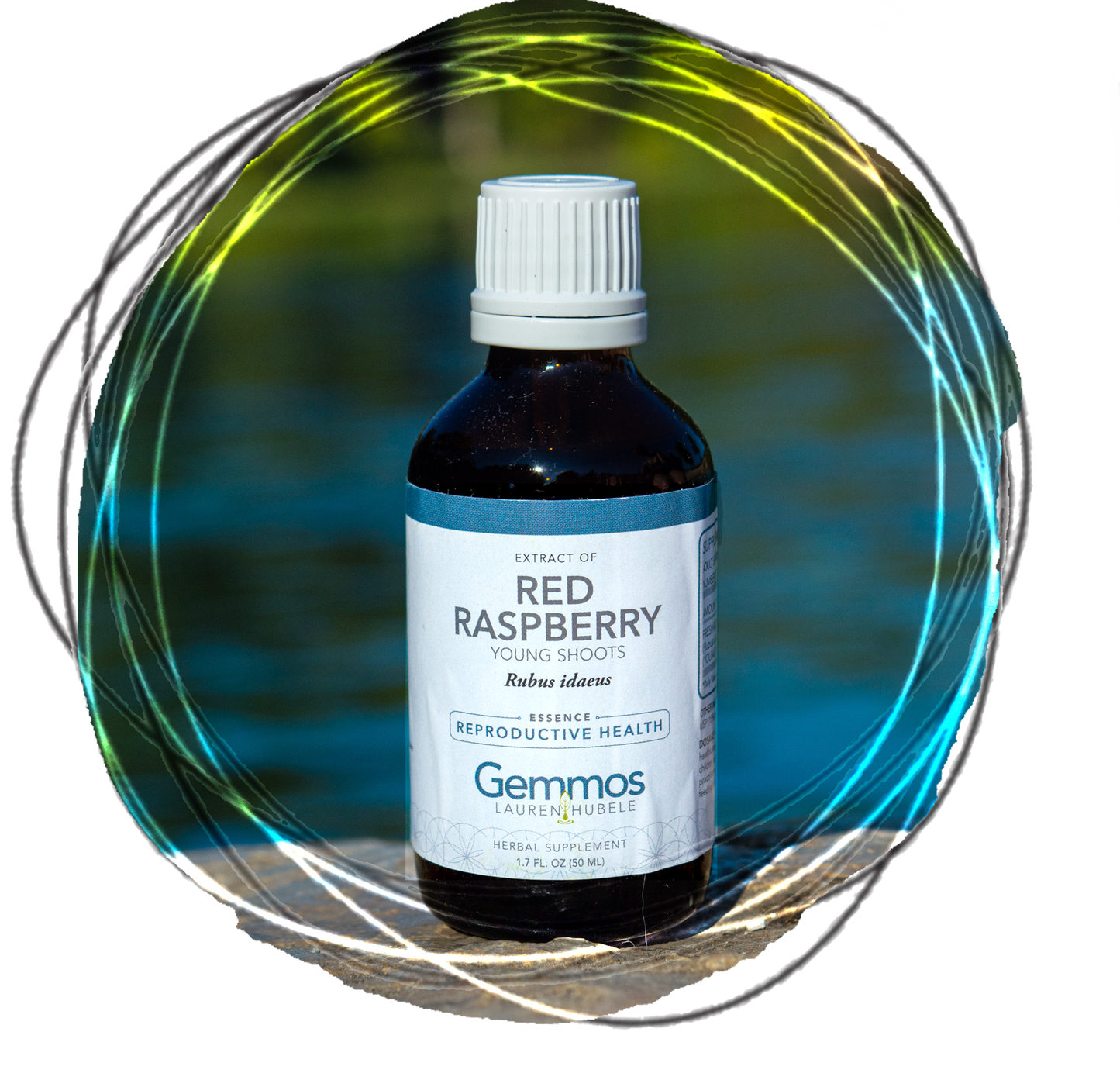 Red Raspberry, Rubus idaeus