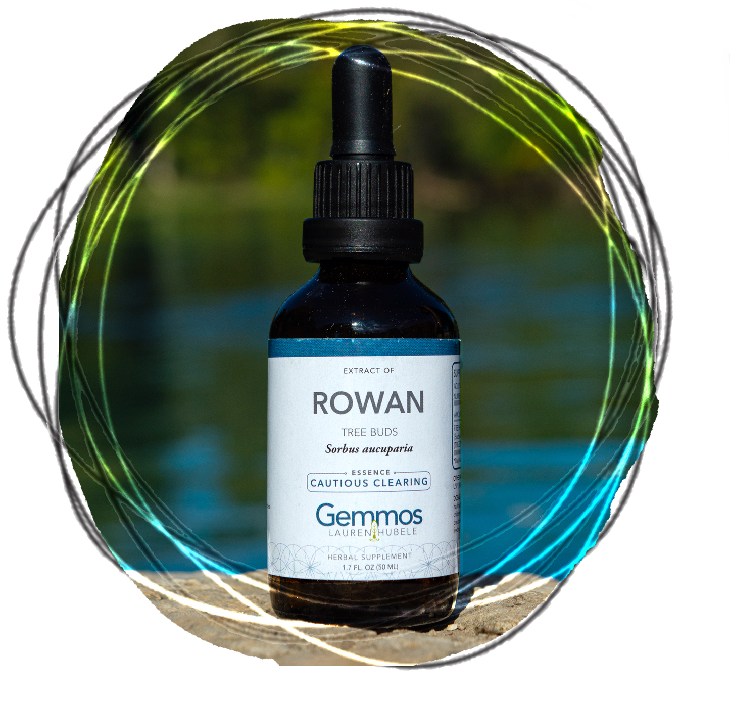 Rowan Tree, Sorbus Aucuparia