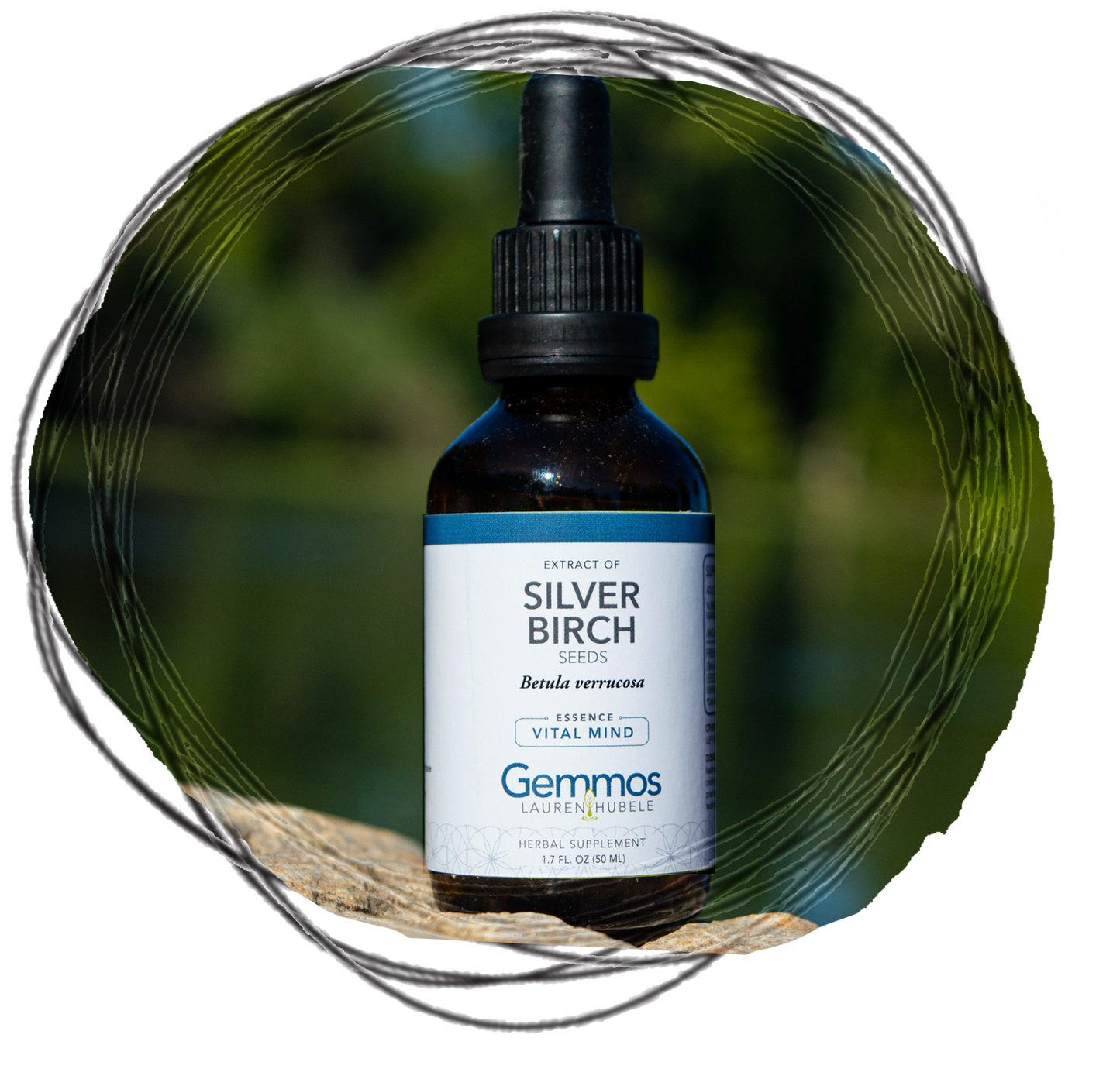 Silver Birch (Seed Extract), Betula verrucosa semmae