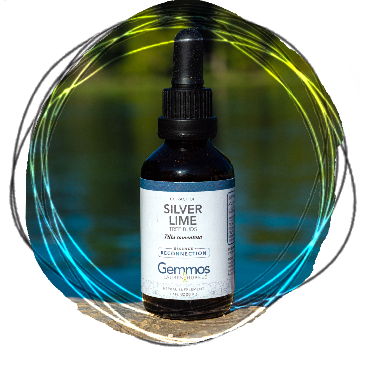 Silver Lime, Tilia tomentosa