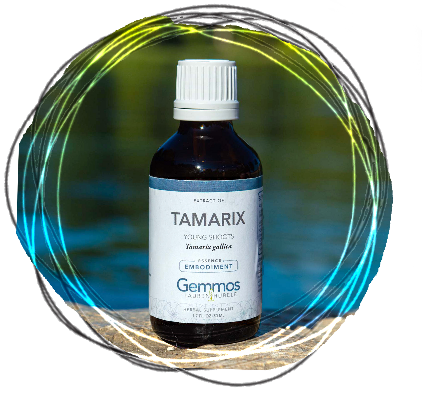 Tamarix, Tamarix gallica