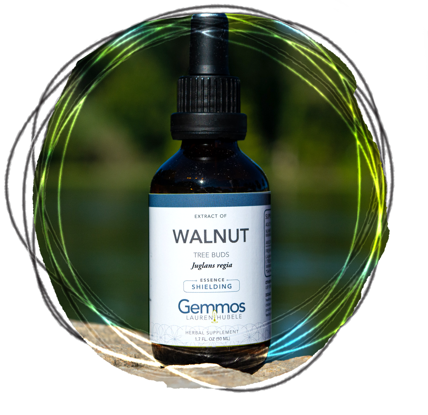 Walnut, Juglans regia