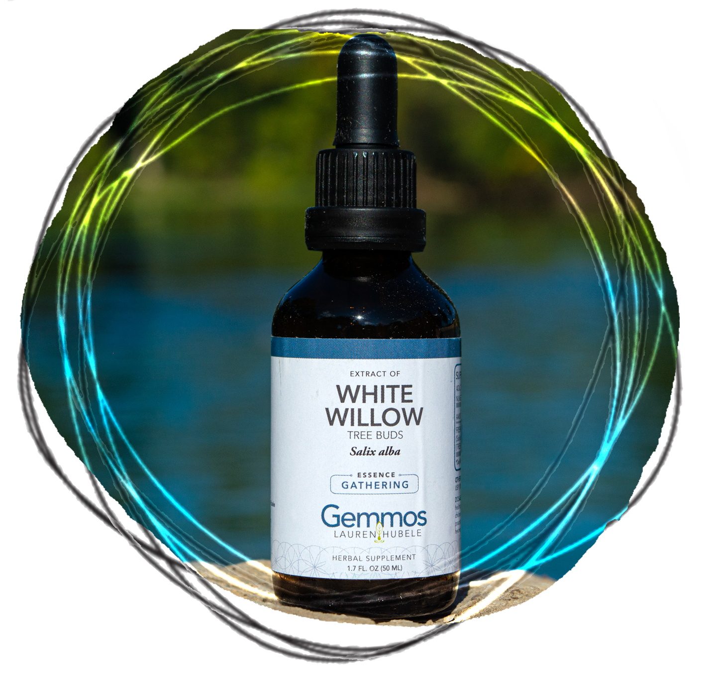 White Willow, Salix alba