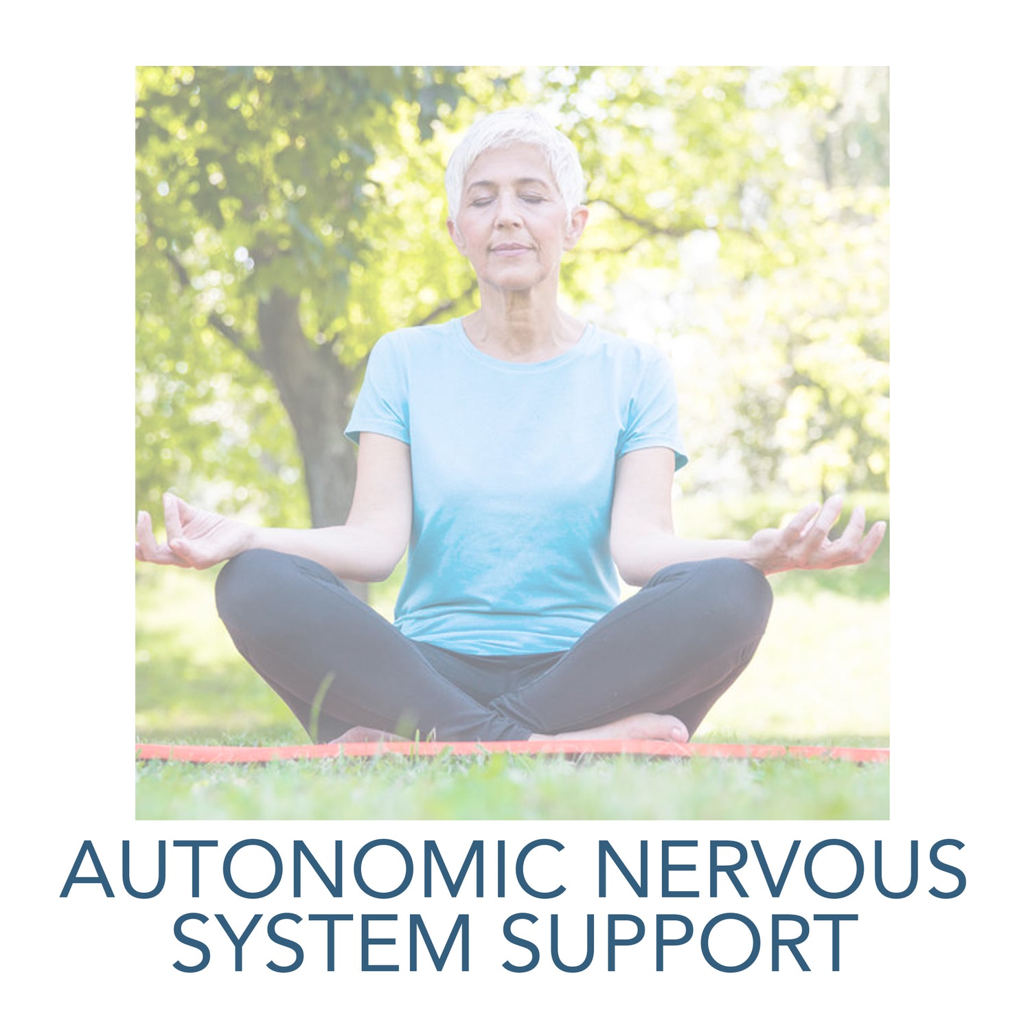Autonomic Nervous System Support