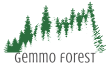 Support the Gemmo Forest!