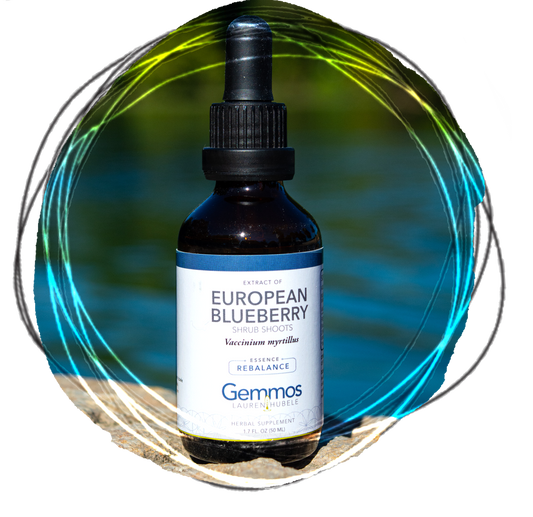 European Blueberry, Vaccinium myrtillus