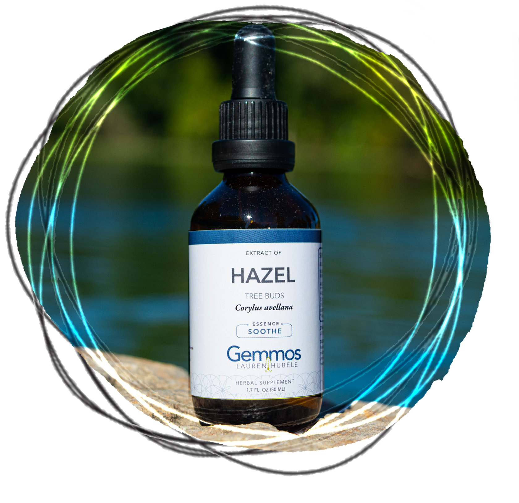 Hazel, Corylus avellana – Gemmos Lauren Hubele