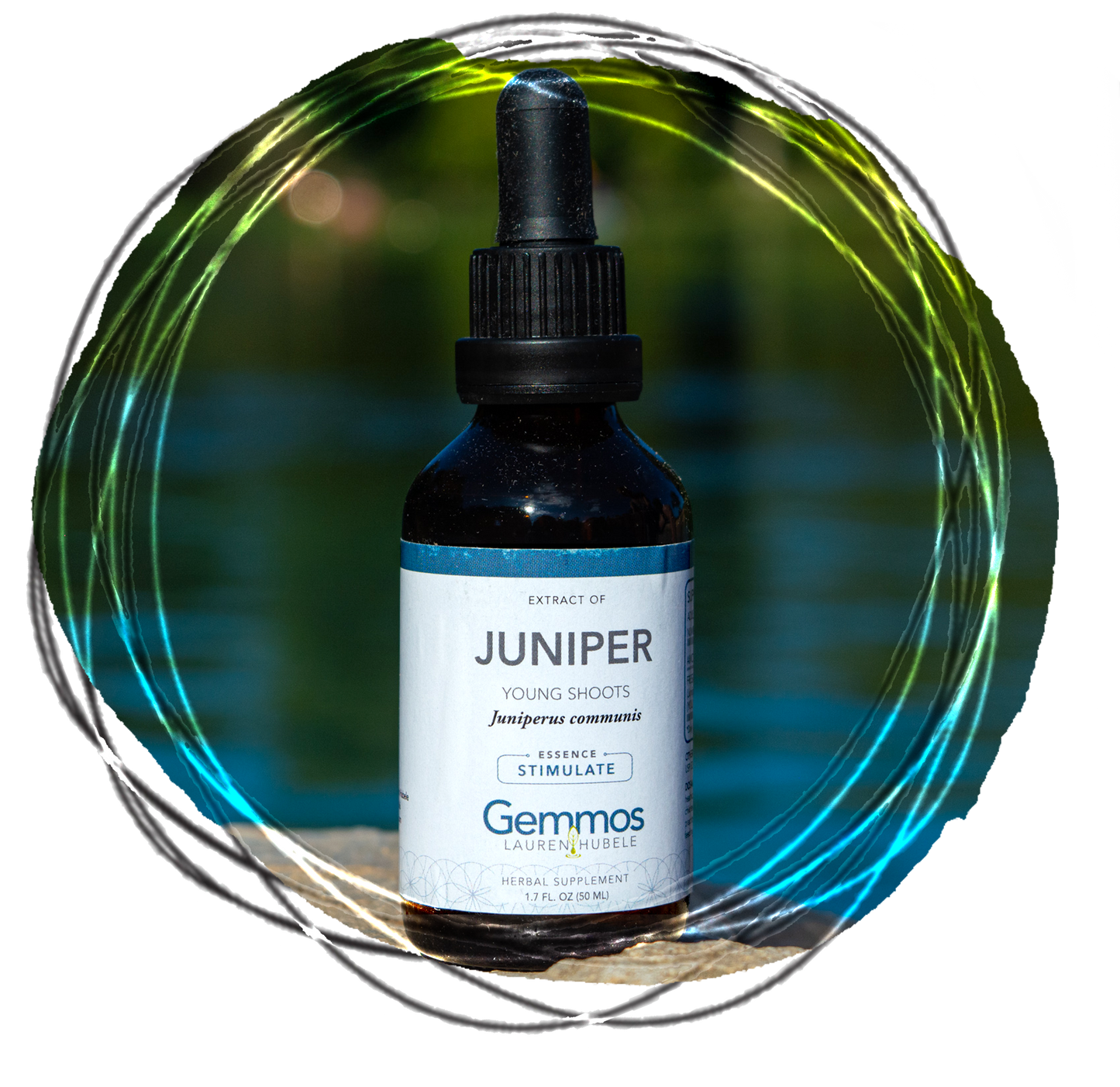 Juniper, Juniperus communis