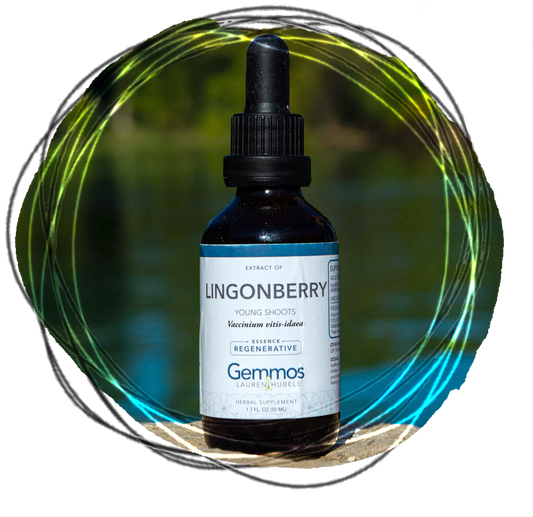 Lingonberry, Vaccinium vitis-idaea