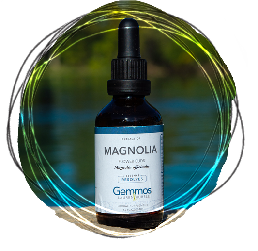 Magnolia, Magnolia grandiflora