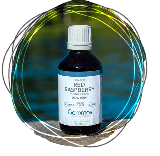 Red Raspberry, Rubus idaeus