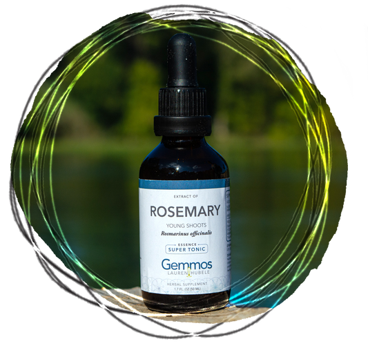 Rosemary, Rosmarinus officinalis