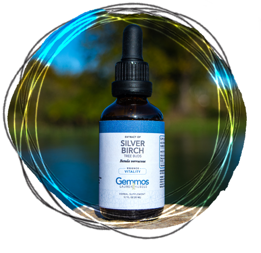 Silver Birch (Tree Bud Extract),  Betula verrucosa