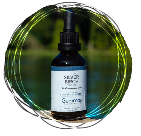 Silver Birch (Tree Sap), Betula verrucosa linfa